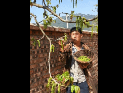【土味食刻】这吃的啥玩意??什么奇怪的东西你都能煮来吃了???
